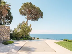 A large, open outdoor pool area with a tree and patio, surrounded by a well-maintained and inviting space with a relaxing atmosphere