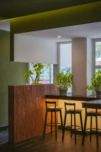 Warm and inviting kitchen with a wooden countertop, potted plants, and natural light from a window