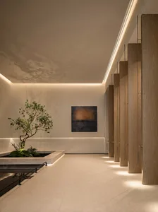 A well-lit room with a white color scheme, wooden doors, and a wooden floor, featuring a large potted plant and a welcoming atmosphere