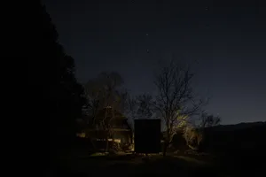 A house surrounded by trees, featuring a black shed in the yard, blending into the natural environment