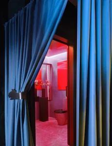Bathroom with a red door, blue curtains, a toilet, sink, and a vase, creating a cozy and intimate atmosphere