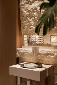 Bathroom with a stone wall, metal sink, and a potted plant, featuring dim lighting and a cozy atmosphere