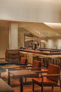 A modern coffee shop with a wooden counter, chairs, and a cozy atmosphere, designed for comfortable seating and socializing