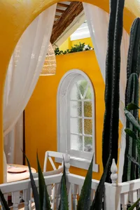 Dining area with a yellow wall, white window, and natural light from the window, featuring a dining table, chairs, a potted plant, and a vase