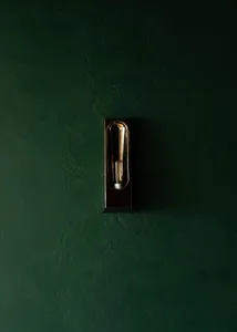 A green wall with a brass light switch mounted in the center, set against a textured concrete background