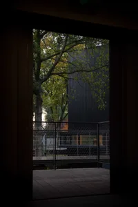 A black house with a deck and tree in front, set in a calm residential area