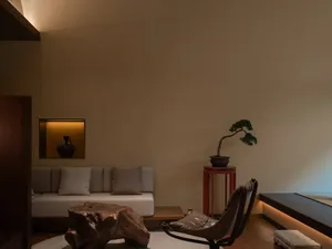 舒適的現代客廳有木地板、白牆和一盆植物，擺放著沙發、椅子和餐桌