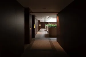 Dimly lit hotel hallway with a carpeted floor, potted plants, and a modern style