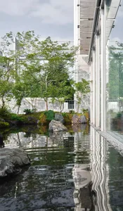 A serene and picturesque scene of a modern building with a glass wall, a reflecting pool surrounded by rocks, and natural light creating a calm and inviting atmosphere