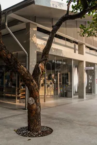A storefront with a tree in front of it, featuring a glass window with a sign and clothes on display, set against a calm and serene urban backdrop