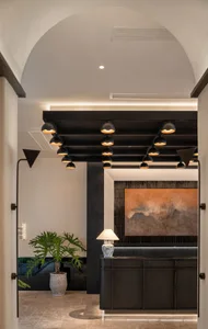 Cozy modern living space with a black and white color scheme, featuring a couch, chair, and potted plant, with dim lighting creating an intimate atmosphere
