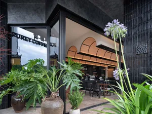 A well-lit coffee shop with a large window, wood furniture, and potted plants, creating a warm and inviting atmosphere