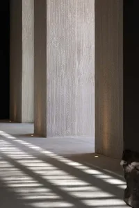 Bright and welcoming hallway with a concrete wall, sunlight, and an open doorway