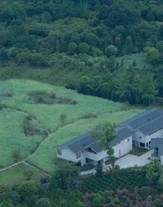 A serene and peaceful house with a white exterior and a lush green roof, surrounded by a wooded area and a green field