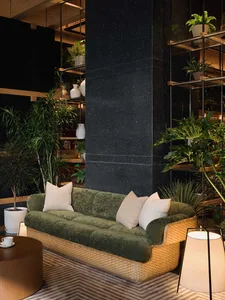 Cozy living room with a green sofa, coffee table, and several potted plants, creating a natural and inviting atmosphere