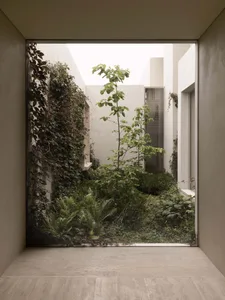 a well-maintained outdoor garden with a variety of green plants and a large tree in the center