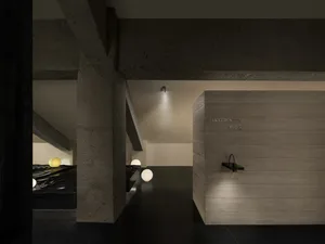 Dimly lit minimalist bathroom with a concrete wall, wooden door, and scattered small balls