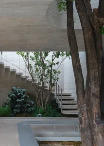 A serene outdoor space with a modern staircase made of concrete leading to a tree surrounded by lush greenery, bathed in natural sunlight