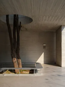 A dining room with a large tree in the center, surrounded by a circular wall, with a dining table and chairs, and a stone-like appearance with soft and diffused lighting
