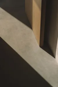 A modern hallway with a wooden door and concrete floor, lit by natural light and a shadow from the open door