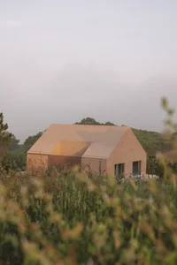 A serene house with a pink roof, situated on a hillside, surrounded by a grassy area and a nearby tree