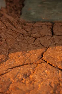A dimly lit, cracked concrete floor in a basement or similar underground area