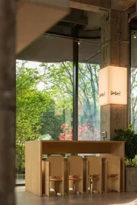 Dining area with wooden tables and chairs, potted plants, and natural light from windows