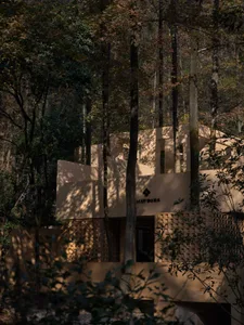 A wooden house surrounded by trees in a peaceful forest setting