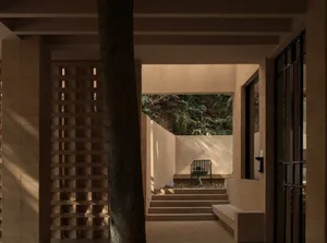 A serene outdoor space with a wooden bench and a tree, surrounded by a patio area with a staircase and doorway, bathed in natural sunlight