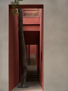 A hallway with a red wall and a tree growing through it, creating a unique visual effect