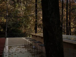 A serene outdoor seating area with a table and chairs surrounded by a tree, creating a peaceful atmosphere