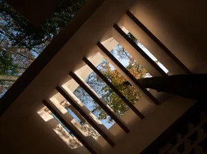 A bright and inviting residential space with a white exterior, a tree in the corner, and natural light from the window