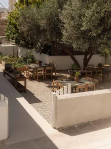 Sunny outdoor dining courtyard with multiple wooden tables, woven-seat chairs, gravel ground, white plastered walls, and large olive trees providing shade.