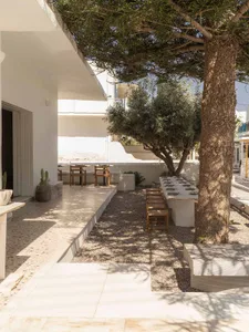 Bright outdoor courtyard dining area with long wooden table, wooden stools, whitewashed walls, and large pine tree casting shadows on gravel ground.