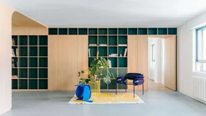 Modern living room featuring a large oak built-in shelving unit with dark green backs, bright blue sculptural chairs, a yellow and white rug, and a large monstera plant.