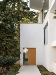 Modern minimalist white house exterior featuring a light oak wooden door, large glass panel, concrete pathway, and surrounded by lush green trees and shrubs.