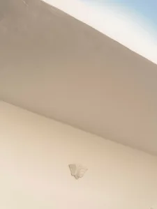 Low-angle view of a white plaster corbel with classical face motif mounted at the junction of a smooth off-white wall and ceiling under a clear blue sky.