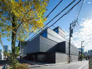 Street view of a modern multi-story concrete residential building with cubic forms, large glass windows, and horizontal lines, surrounded by power lines and autumn trees.