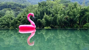 A large pink inflatable flamingo floating on a calm infinity pool with perfect reflection, set against a background of dense green bamboo forest and mountains.