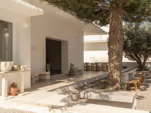 Bright Mediterranean courtyard with white plastered walls, travertine stone benches and tables, a large olive tree providing shade, and terracotta pottery on a stone console.