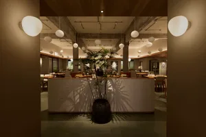 View into a modern restaurant dining area featuring exposed concrete beams, numerous white spherical pendant lights, wooden ceilings, and a large potted palm casting shadows on a light partition wall.