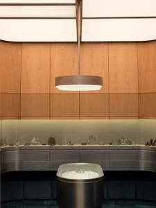 Modern jewelry store interior featuring curved light oak wall panels, dark metal display cases with glass tops, a central oval island vitrine, and a large circular pendant light.