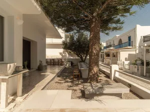 Bright whitewashed courtyard in Mykonos featuring a large pine tree, long stone dining tables, wooden stools, and minimalist Mediterranean architecture under a clear blue sky.