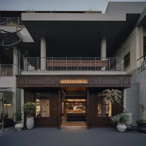 Modern minimalist boutique storefront with dark wood paneling, illuminated 'WILD'S COLLECTION' sign, and multiple potted flowering trees at the entrance of a contemporary concrete building.
