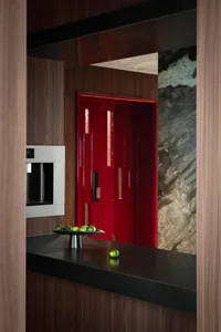 Modern kitchen corner featuring dark wood cabinetry, a built-in stainless steel appliance, glossy red lacquer cabinet door, black countertop with a bowl of limes, and a large green marble accent wall.