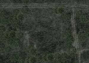 航拍照片顯示茂密綠色森林，內有多處圓形與線性空地，點綴著樹木與模糊小徑。
