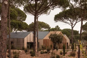 Modern wooden cabin with vertical timber cladding and dark metal roof, surrounded by tall pine trees in a forest setting.