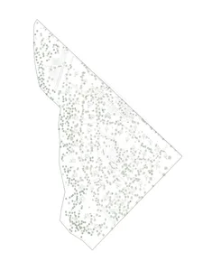 Monochrome architectural master plan drawing showing a large-scale low-density residential development with dense clusters of trees, winding roads, and individual housing plots.