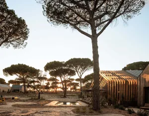 Modern wooden villa with vertical slatted facade and a large pine tree in the foreground, surrounded by a courtyard with a rectangular reflecting pool at sunset.