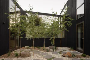 Modern courtyard garden featuring young birch trees, stepping stone path, gravel ground cover and large rocks against a dark charred wood building facade with large windows.